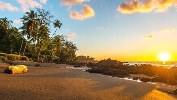 Une plage bordée de palmiers, un coucher de soleil et un ciel dégagé.