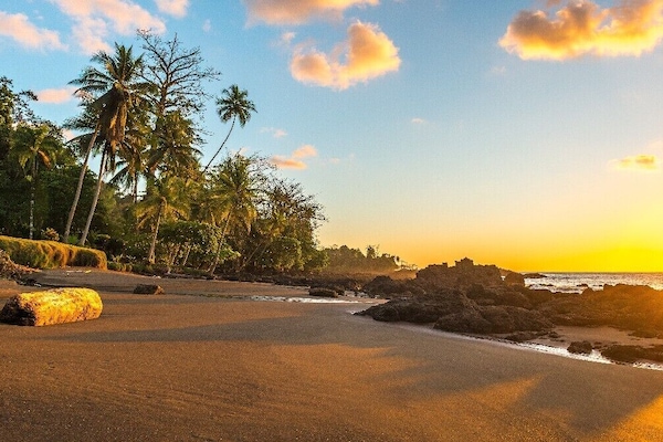 Tæt på stranden, hvidt sand