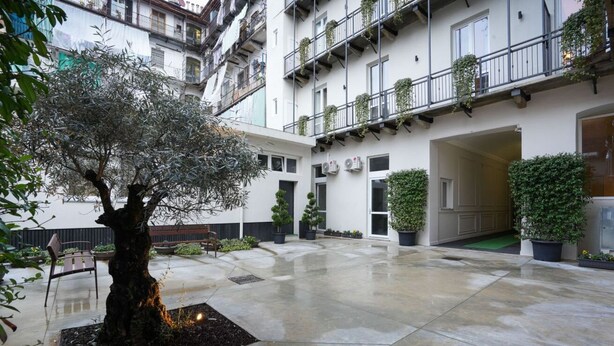 A courtyard with a large tree, potted plants, and a bench. - Torino | Red Oasi Apartment (Torino)