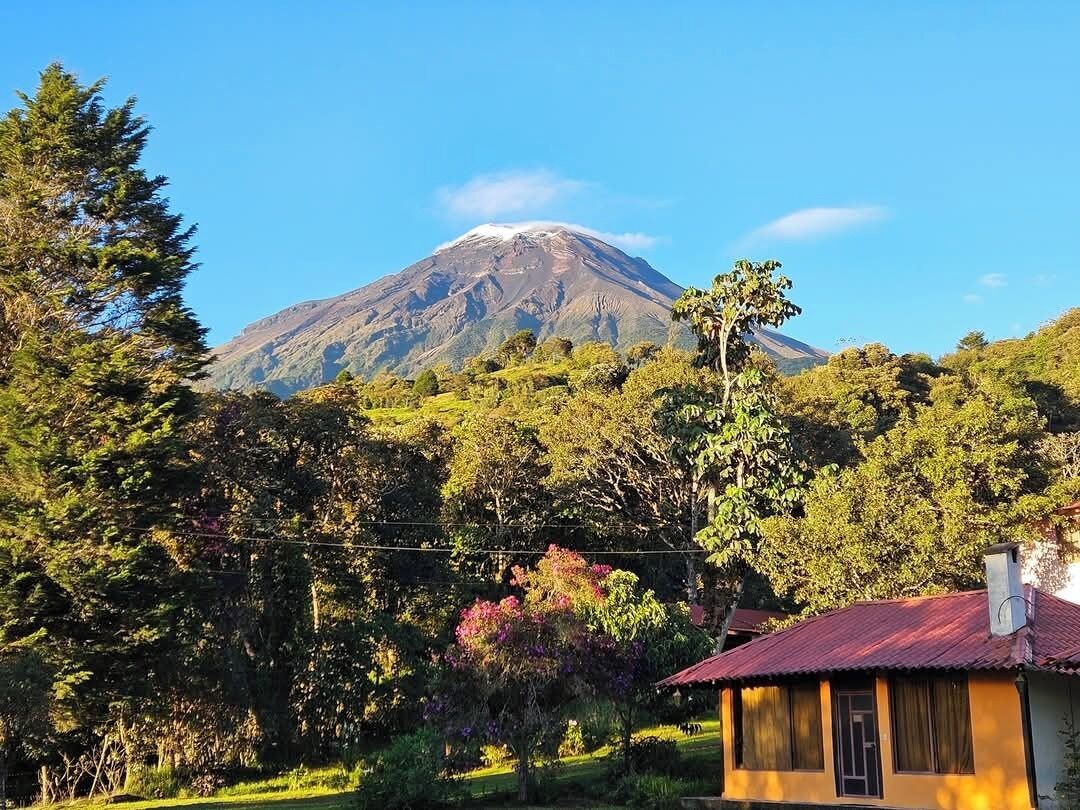 A house with a red roof, surrounded by greenery and a mountain in the background.