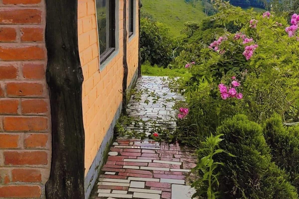 Standard Suite, Mountain View | Free WiFi