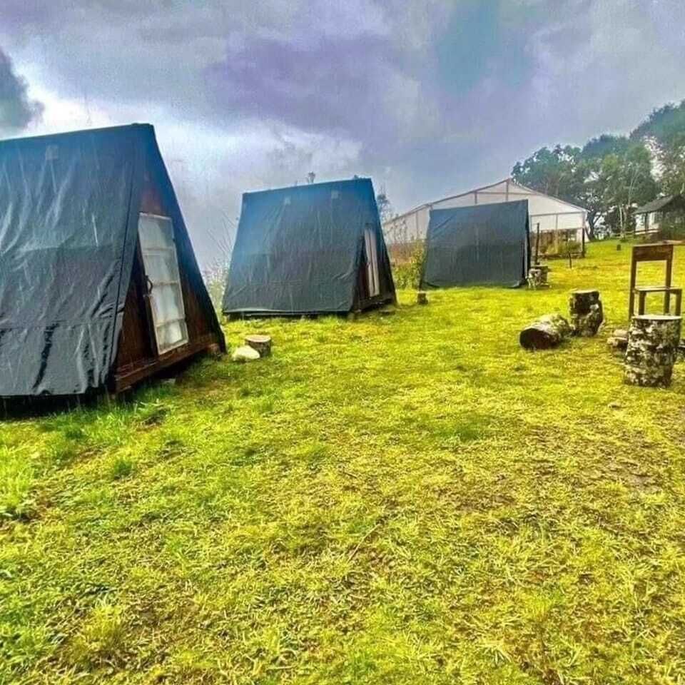 Traditional Tent | Free WiFi