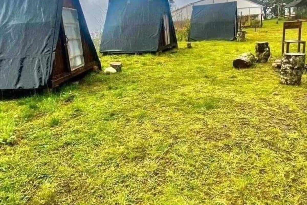 En campingplats med tält uppställda på en gräsyta, en överbyggd konstruktion och en stol.