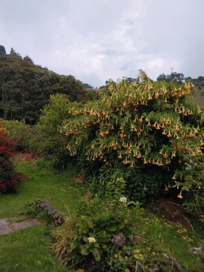 Exterior - Las Orquideas Runtun Lodge (Baños de Agua Santa)