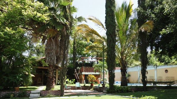 Un jardin bien entretenu, agrémenté de divers arbres, d’une terrasse et d’un bâtiment doté d’un balcon.