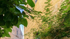 A narrow cobblestone alley flanked by stone buildings with windows and some greenery. - Historic Hideaway; Stunningly Converted Studio (Ir-Rabat Għawdex)