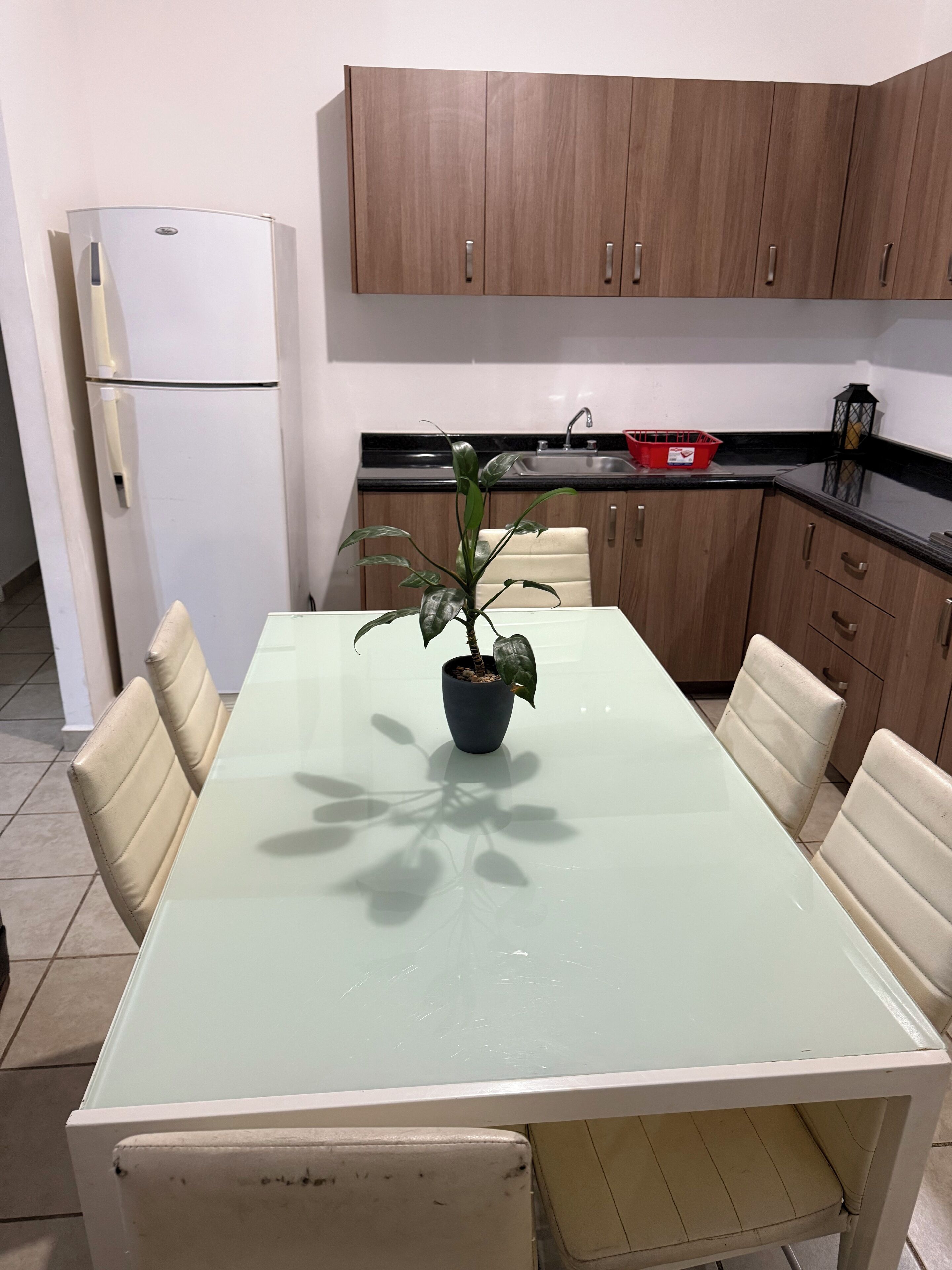 A dining area with a glass table, beige chairs, a potted plant, wooden cabinets, and a white refrigerator.
