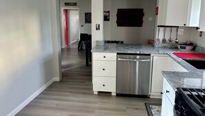A modern kitchen with white cabinets, a stainless steel dishwasher, and a red countertop.