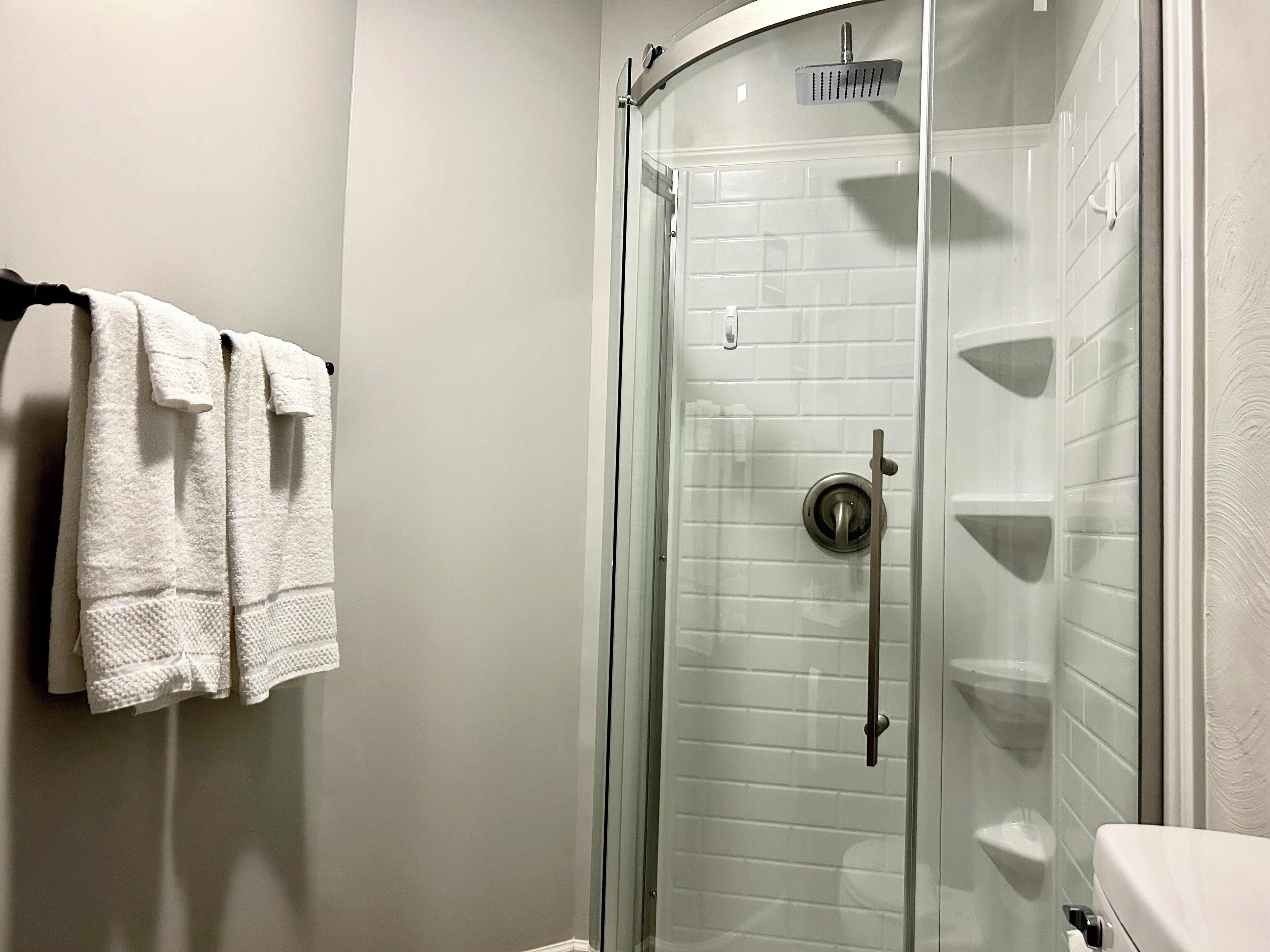 Hair dryer, towels, soap, toilet paper