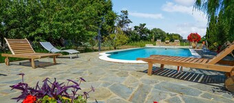 Pet friendly apartment in Furiani