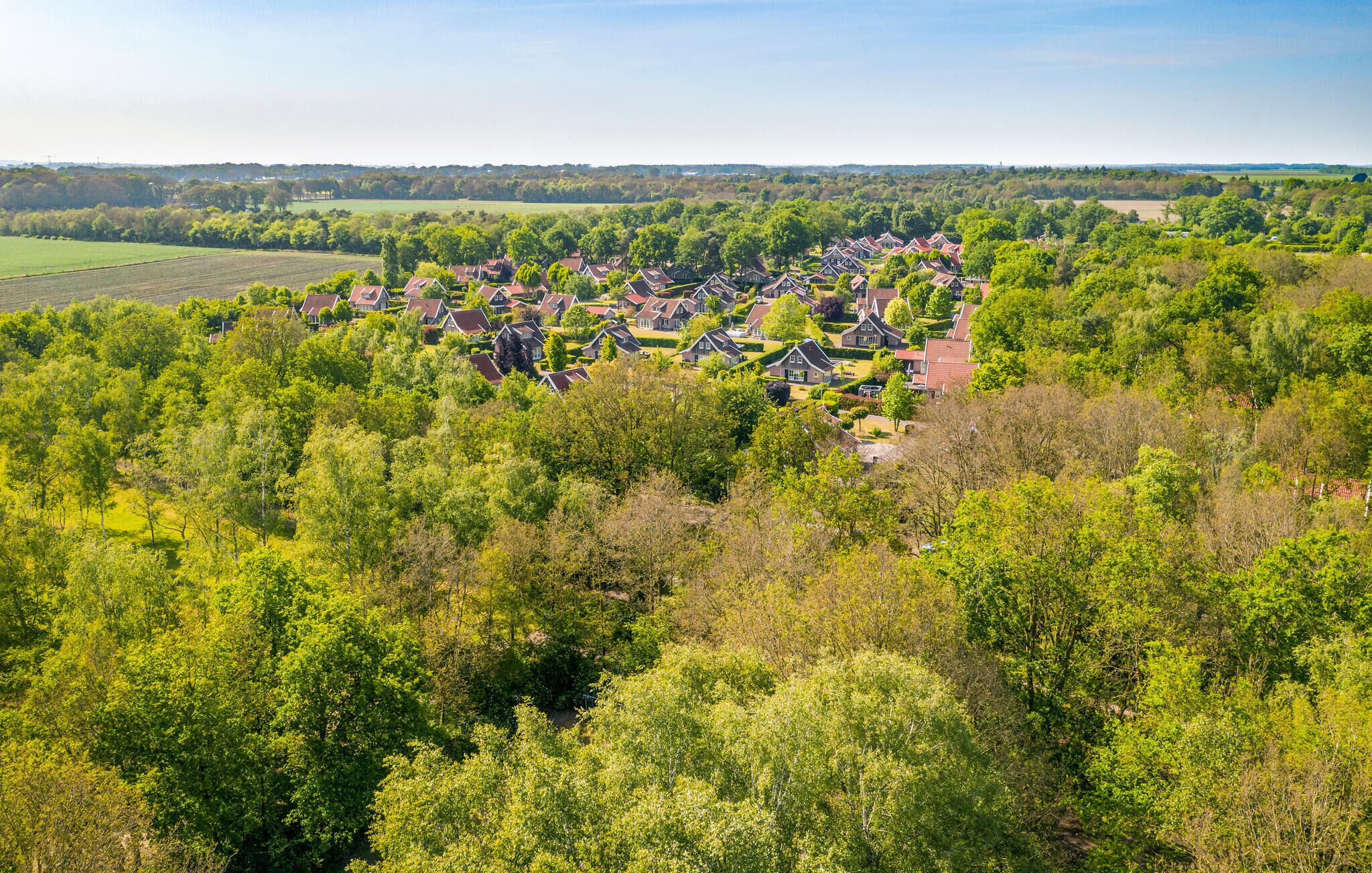 Vue aérienne d’un quartier résidentiel où les maisons sont entourées d’une végétation luxuriante.