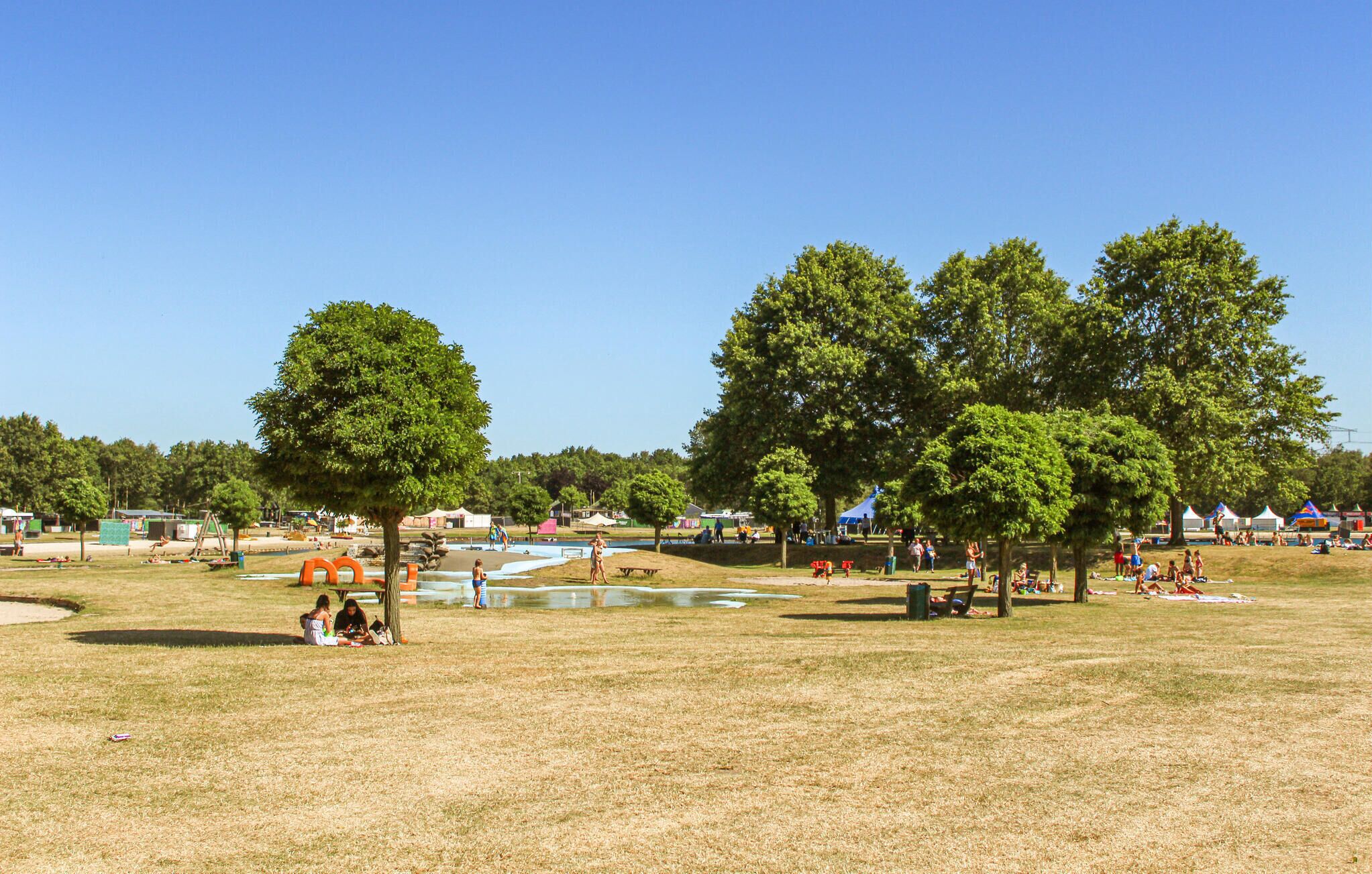 Un parco con aree picnic, alberi e uno stagno.