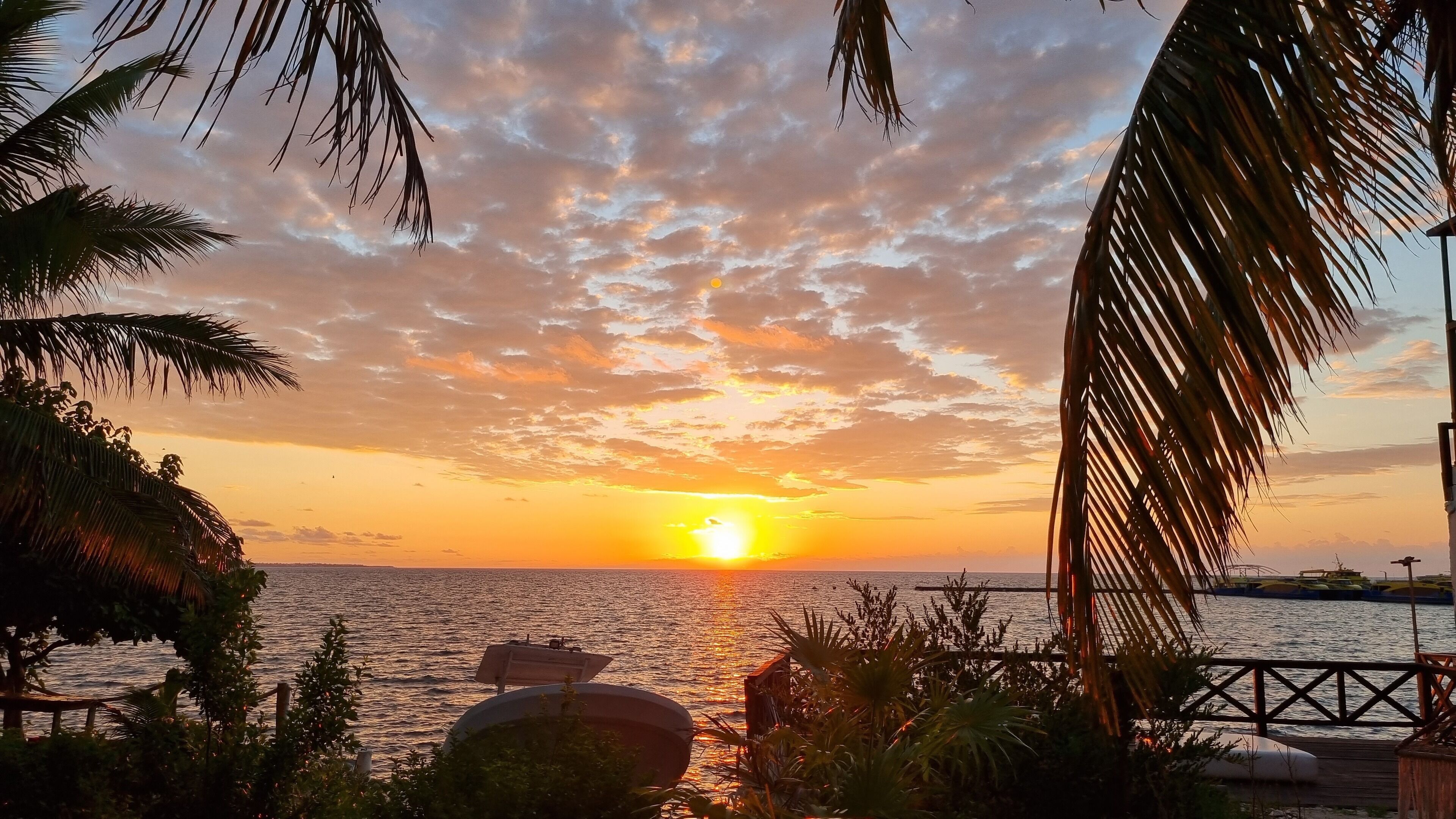 Un atardecer sobre un mar tranquilo, con palmeras enmarcando la vista.