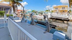 A marina with boats docked, a white railing, and a palm tree.