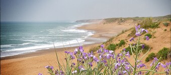 Les Chouans - Holiday home