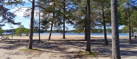 Pesca