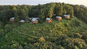 Un grupo de cabañas de madera en una ladera, con un bosque denso al fondo.
