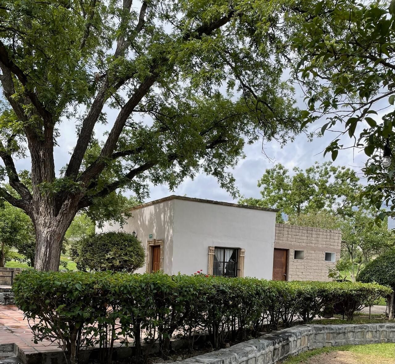 Casa superior, 6 habitaciones, vista al viñedo | Terraza o patio