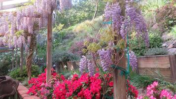 Área da propriedade