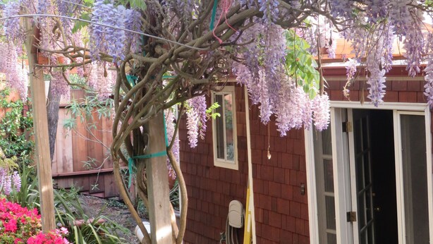A covered patio area with a pergola supporting wisteria vines, a brick wall, and a sliding glass door leading to an outdoor space.