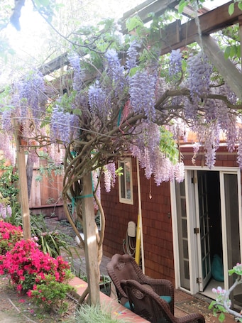 Exterior detail. TRANQUIL MASTER SUITE studio with PRIVATE ENTRANCE in charming Fairfax