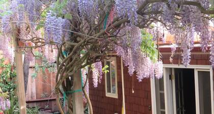 TRANQUIL MASTER SUITE studio with PRIVATE ENTRANCE in charming Fairfax