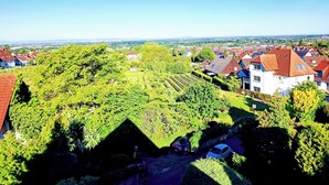 A vineyard with rows of grapevines, a white building with a red roof, and a blue car parked nearby. - Wellness oasis in a wonderful panoramic location (Weinheim)