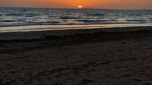 Una playa con el sol poniéndose en el horizonte, mar tranquilo y aerogeneradores a lo lejos.