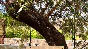 Un cartello con la scritta 'RESIDENZA 'I PINI'