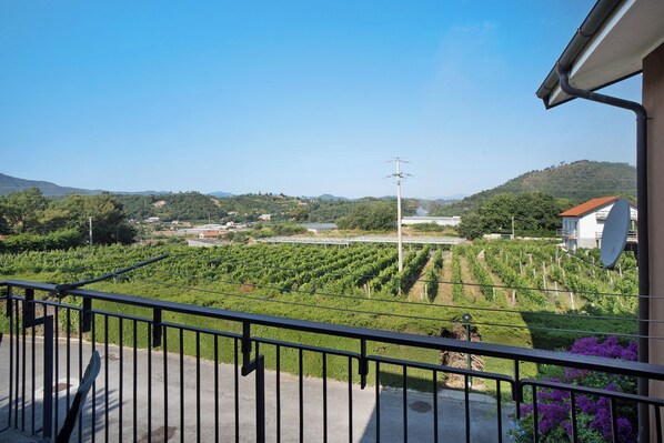 Property grounds - Apartment 'Tra Monti E Mare' with Mountain View, Wi-Fi and Air Conditioning (Piamboschi)