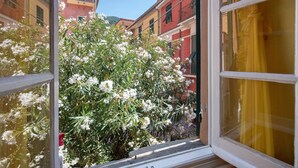 Ein Fenster mit Blick auf ein Gebäude mit Balkonen und einem blühenden Busch.