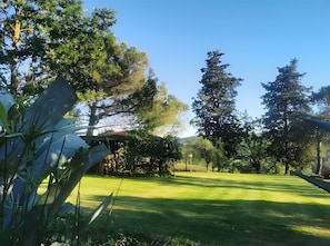 Un espace verdoyant bien entretenu, avec des arbres et un ciel dégagé.