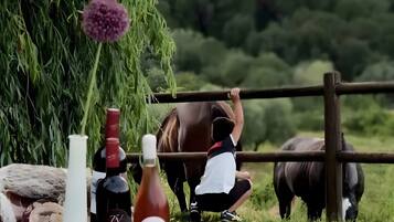 Ristorazione all'aperto