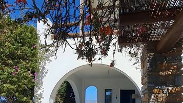 テラス / パティオ