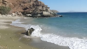Vlak bij het strand