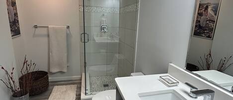 Shower, hair dryer, towels, soap