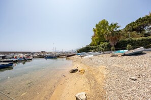 A marina with boats docked, a pebbly beach, and a palm tree.