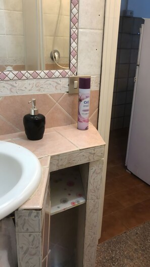 淋浴设施、吹风机、毛巾