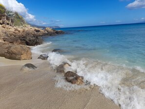 A beach with clear water, rocks, and sparse vegetation.