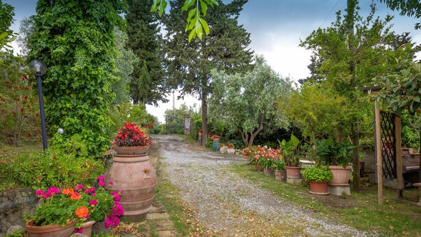 A garden pathway with potted plants and a gravel path.