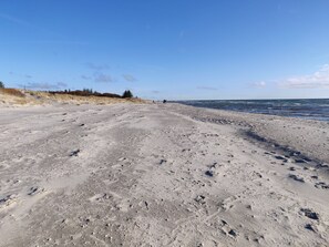 Une plage de sable avec des empreintes et une végétation clairsemée.