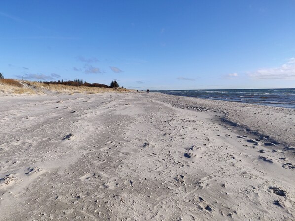 A sandy beach with footprints and sparse vegetation.