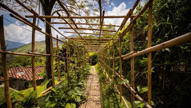 Ein Bambussteg mit einem Steinweg, umgeben von üppiger Vegetation und einer Bergkulisse.