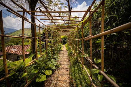 Property grounds. 5-bedroom bed & breakfast in welcoming Barbosa with WiFi