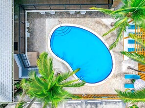 Pool - Tropical Paradise + POOL & PATIO (Fort Lauderdale)