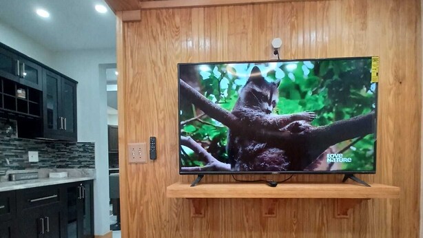 Un salon moderne avec un meuble mural en bois sur lequel est posé un téléviseur à écran plat.