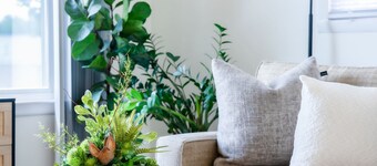 Spotless Home Near Kings Island