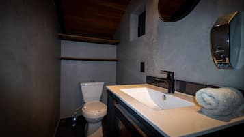 Shower, towels, soap, toilet paper