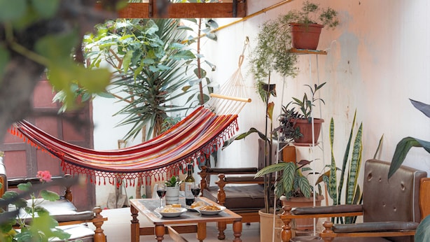 Uma sala de estar acolhedora com uma rede, móveis de madeira e diversas plantas em vasos.
