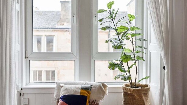 Une pièce avec une fenêtre, une plante dans un pot et un canapé agrémenté d’un coussin coloré.
